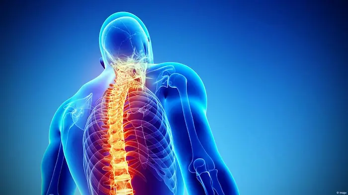 أورام العمود الفقري الحميدة الأسباب الأعراض وخيارات العلاج الآمن أورام العمود الفقري الحميدة الأسباب الأعراض وخيارات العلاج الآمن