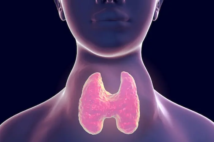 دليلك الطبي عن تضخم الغدة الدرقية وأهم أعراضه مع طرق العلاج دليلك الطبي عن تضخم الغدة الدرقية وأهم أعراضه مع طرق العلاج