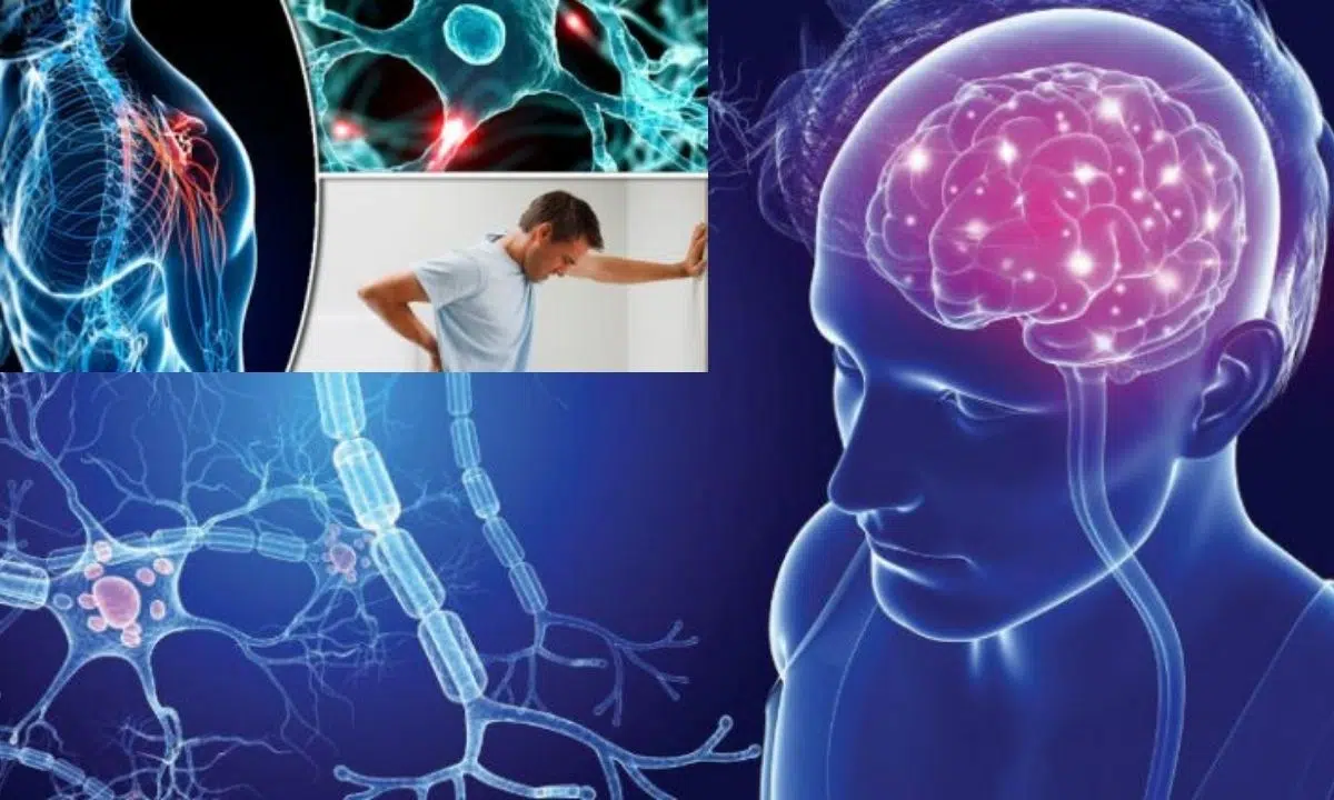 تعرف علي أعراض التصلب اللويحي تعرف علي أعراض التصلب اللويحي