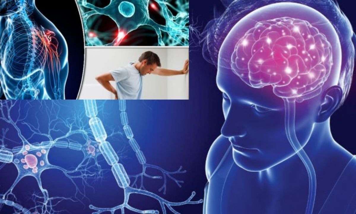 تعرف علي أعراض التصلب اللويحي تعرف علي أعراض التصلب اللويحي