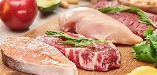 دايت كارنيفور دايت كارنيفور