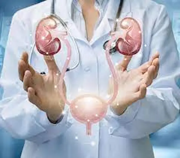 دكتور لعلاج المسالك البوليه 